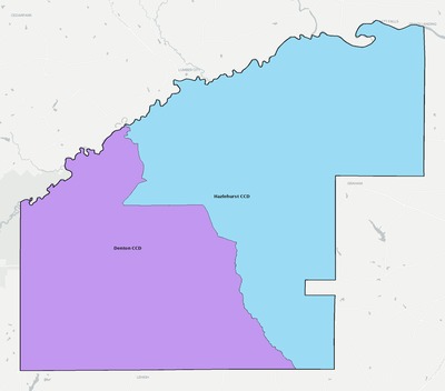 Jeff Davis County GA townships and subdivisions map