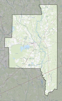 Lanier County GA USGS topo map