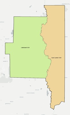 Lanier County GA townships and subdivisions map