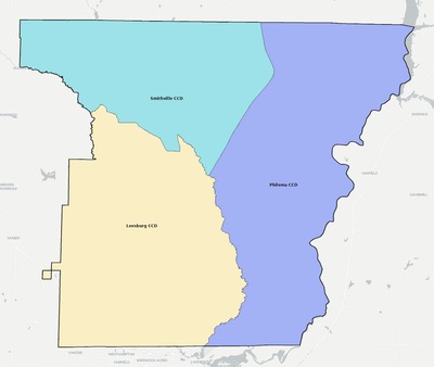 Lee County GA townships and subdivisions map