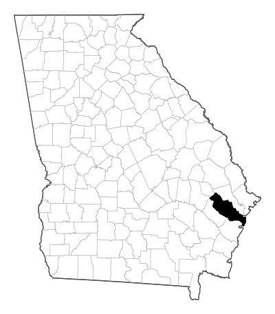 Liberty County in Georgia