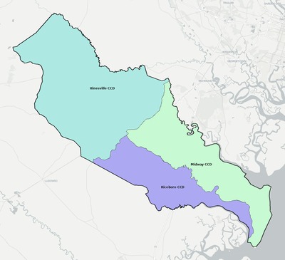 Liberty County GA townships and subdivisions map