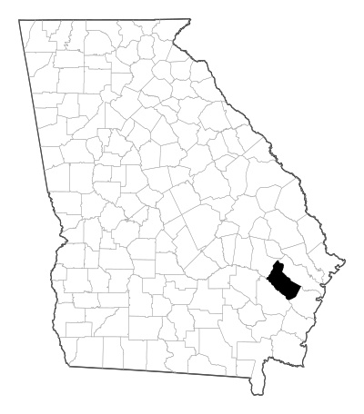 Long County in Georgia