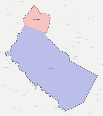 Long County GA school district boundaries map
