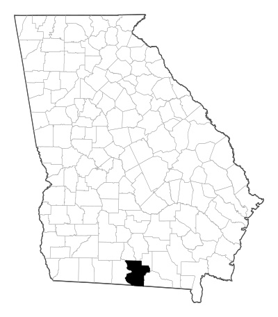 Lowndes County in Georgia