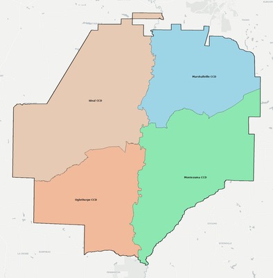 Macon County GA townships and subdivisions map