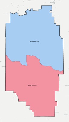 Marion County GA townships and subdivisions map