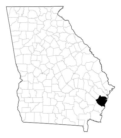 McIntosh County in Georgia