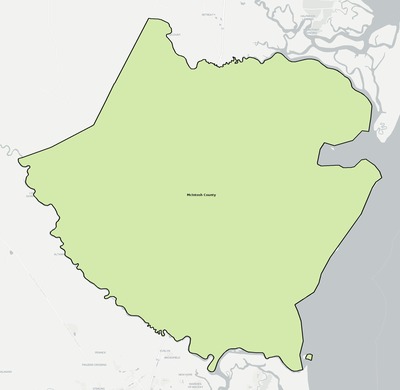 McIntosh County GA school district boundaries map
