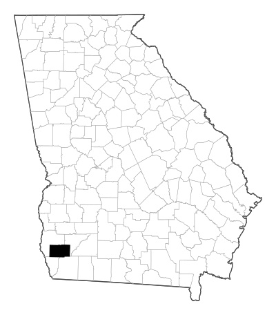 Miller County in Georgia