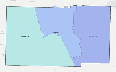 Miller County GA townships and subdivisions map
