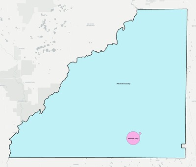 Mitchell County GA school district boundaries map