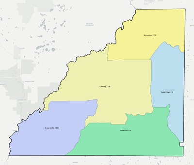 Mitchell County GA townships and subdivisions map
