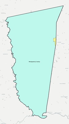 Montgomery County GA school district boundaries map