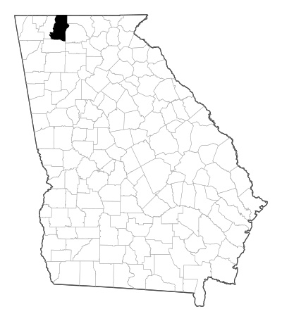Murray County in Georgia