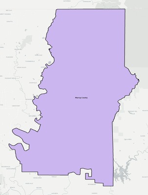 Murray County GA school district boundaries map