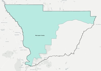 Muscogee County GA school district boundaries map