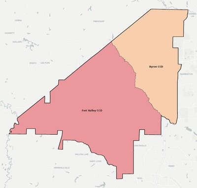 Peach County GA townships and subdivisions map