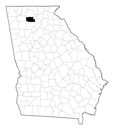 Pickens County in Georgia