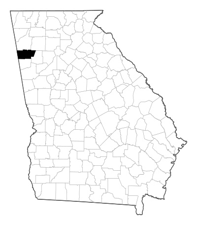 Polk County in Georgia