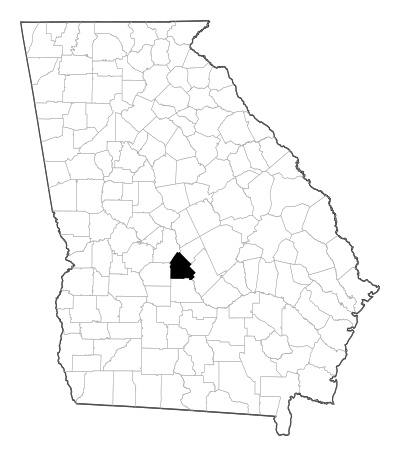 Pulaski County in Georgia