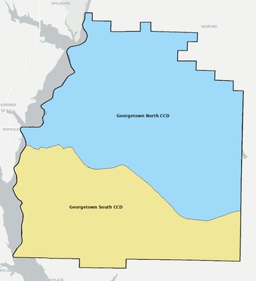 Quitman County GA townships and subdivisions map