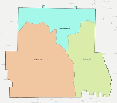 Randolph County GA townships and subdivisions map