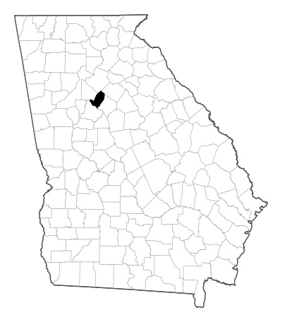 Rockdale County in Georgia