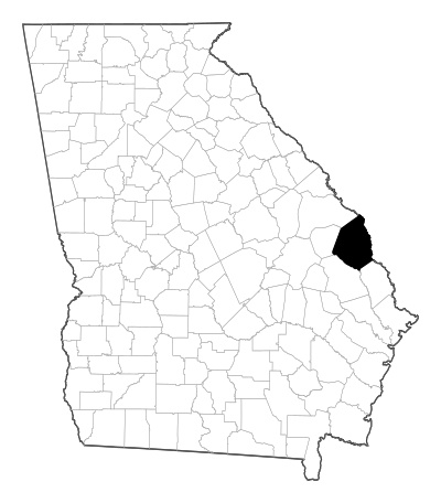 Screven County in Georgia