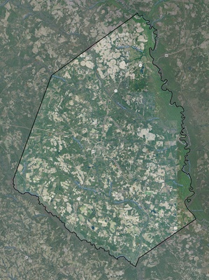 Screven County GA USGS imagery and topo map