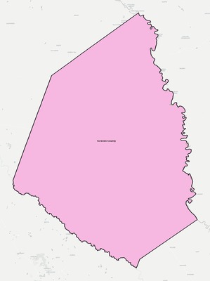 Screven County GA school district boundaries map