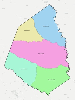 Screven County GA townships and subdivisions map