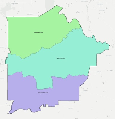 Talbot County GA townships and subdivisions map
