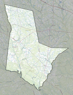 Tattnall County GA USGS topo map