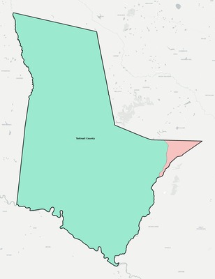 Tattnall County GA school district boundaries map