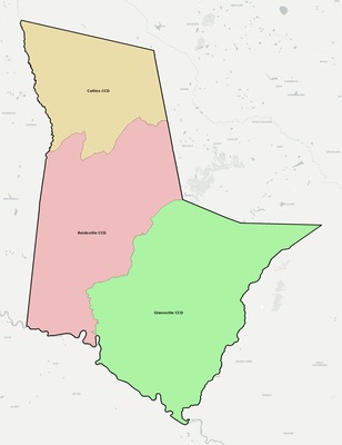Tattnall County GA townships and subdivisions map