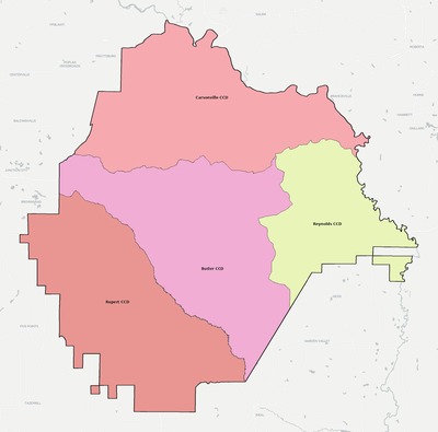 Taylor County GA townships and subdivisions map
