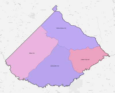 Telfair County GA townships and subdivisions map