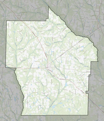 Terrell County GA USGS topo map