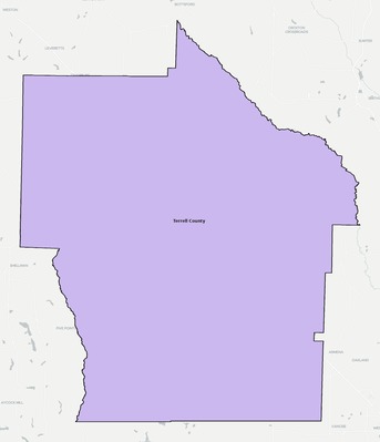 Terrell County GA school district boundaries map