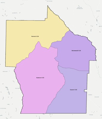 Terrell County GA townships and subdivisions map
