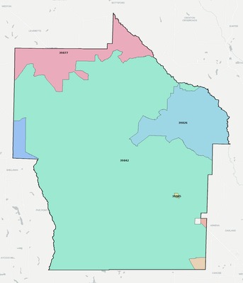Terrell County GA ZIP code boundaries map