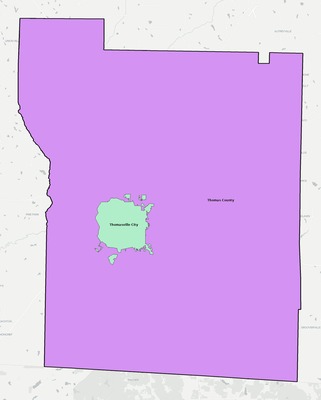 Thomas County GA school district boundaries map