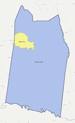 Toombs County GA school district boundaries map