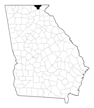 Towns County in Georgia