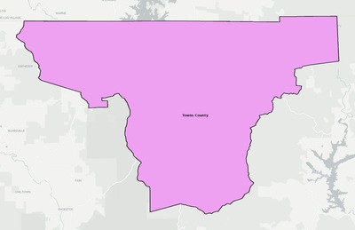 Towns County GA school district boundaries map