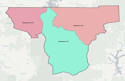 Towns County GA townships and subdivisions map