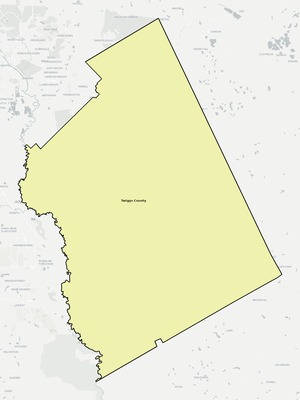 Twiggs County GA school district boundaries map