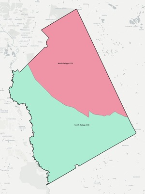 Twiggs County GA townships and subdivisions map