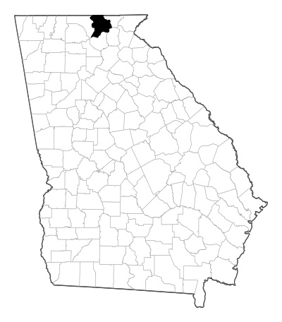Union County in Georgia